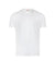 Men T-Shirt 11873